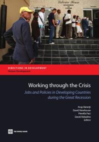 Working through the Crisis : Jobs and Policies in Developing Countries during the Great Recession