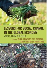 Lessons for Social Change in the Global Economy : Voices from the Field