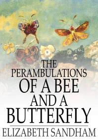 The Perambulations of a Bee and a Butterfly : In Which Are Delineated Those Smaller Traits of Character Which Escape the Observation of Larger Spectators