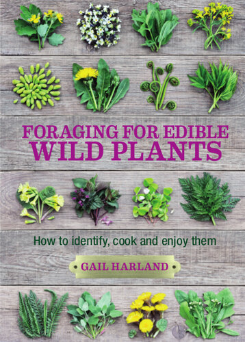 Foraging for Edible Wild Plants: How to identify, cook and enjoy them