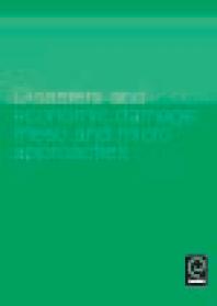 Disasters and Economic Damage : Macro, Meso and Micro Approaches