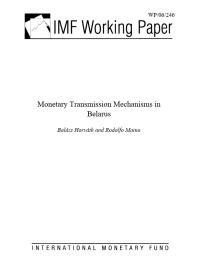 Monetary Transmission Mechanisms in Belarus