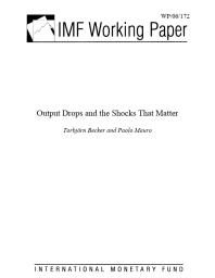 Output Drops and the Shocks That Matter