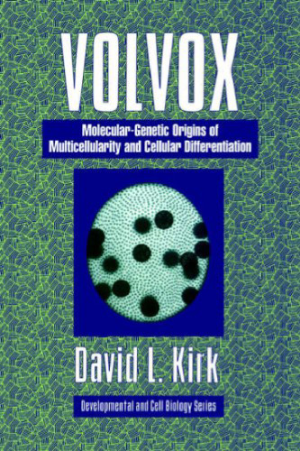 Volvox: A Search for the Molecular and Genetic Origins of Multicellularity and Cellular Differentiation