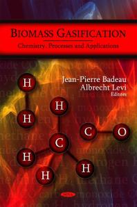 Biomass Gasification : Chemistry, Processes and Applications