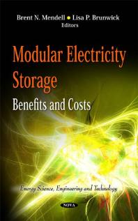 Modular Electricity Storage : Benefits and Costs