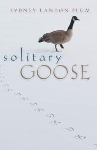 Solitary Goose