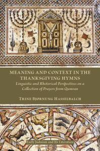 Meaning and Context in the Thanksgiving Hymns : Linguistic and Rhetorical Perspectives on a Collection