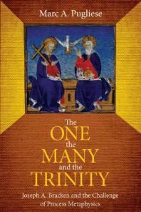 The One, the Many, and the Trinity : Joseph A. Bracken and the Challenge of Process Metaphysics