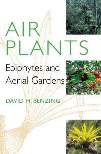 Air Plants : Epiphytes and Aerial Gardens