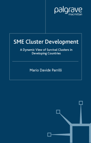 SME Cluster Development: A Dynamic View of Survival Clusters in Developing Countries