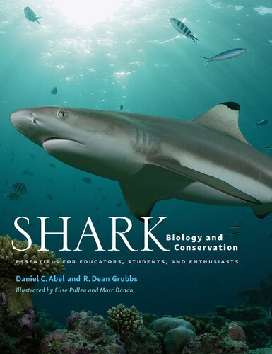 Shark biology and conservation. Essentials for educators, students, and enthusiasts