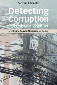 Detecting Corruption in Developing Countries : Identifying Causes/Strategies for Action