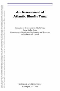 An Assessment of Atlantic Bluefin Tuna