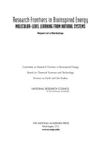 Research Frontiers in Bioinspired Energy : Molecular-Level Learning from Natural Systems: Report of a Workshop