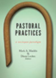 Pastoral Practices : A Wesleyan Paradigm