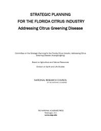 Strategic Planning for the Florida Citrus Industry : Addressing Citrus Greening Disease