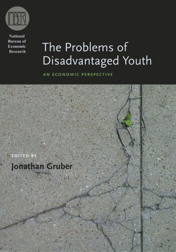 The Problems of Disadvantaged Youth: An Economic Perspective