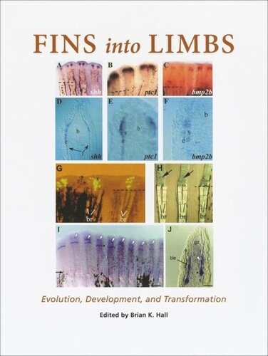 Fins into Limbs: Evolution, Development, and Transformation