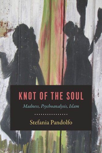 Knot of the Soul: Madness, Psychoanalysis, Islam