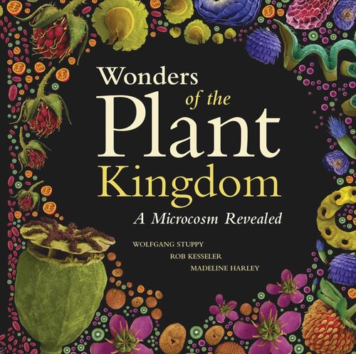Wonders of the Plant Kingdom: A Microcosm Revealed