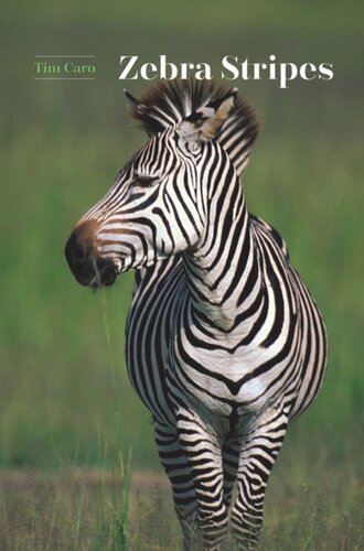 Zebra Stripes