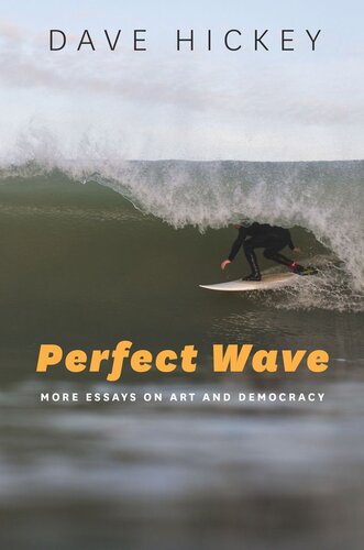 Perfect Wave: More Essays on Art and Democracy