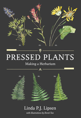 Pressed Plants: Making a Herbarium