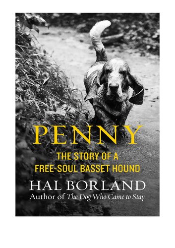 Penny: The Story of a Free-Soul Basset Hound