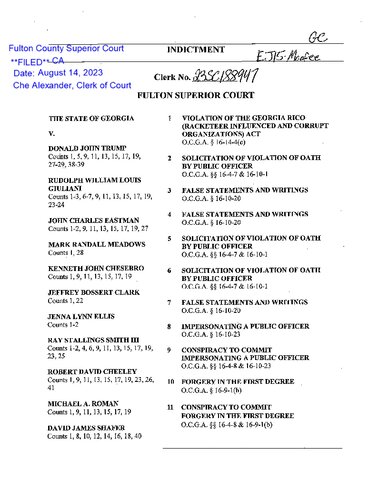 Georgia Criminal Indictment 