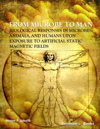 From Microbe to Man: Biological Responses in Microbes, Animals, and Humans upon Exposure to Artificial Static Magnetic Fields