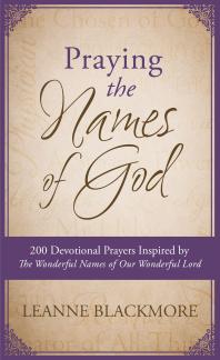 Praying the Names of God : 200 Devotional Prayers Inspired by The Wonderful Names of Our Wonderful Lord