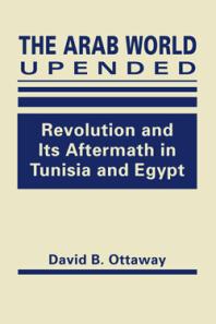 The Arab World Upended : Revolution and Its Aftermath in Tunisia and Egypt