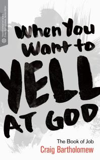 When You Want to Yell at God : The Book of Job