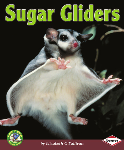 Sugar Gliders