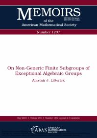 On Non-Generic Finite Subgroups of Exceptional Algebraic Groups