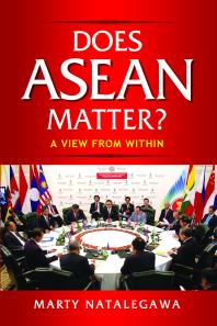 Does ASEAN Matter?
