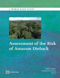 Assessment of the Risk of Amazon Dieback