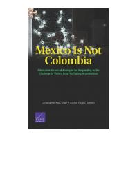 Mexico Is Not Colombia: Alternative Historical Analogies for Responding to the Challenge of Violent Drug-Trafficking Organizations
