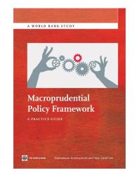 Macroprudential Policy Framework: A Practice Guide