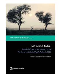 Too Global To Fail: The World Bank at the Intersection of National and Global Public Policy in 2025