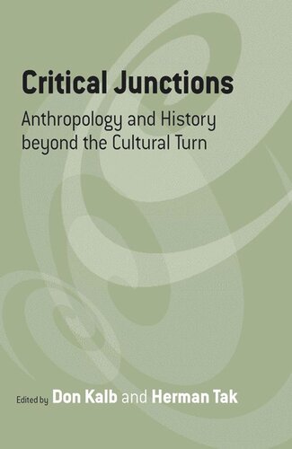 Critical Junctions: Anthropology and History beyond the Cultural Turn