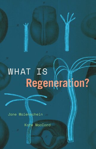What Is Regeneration?