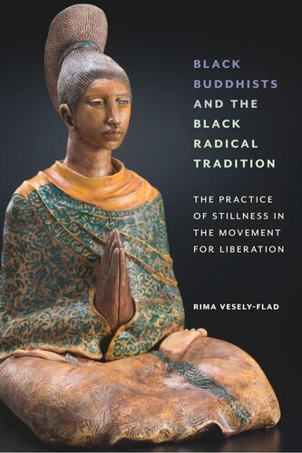 Black Buddhists and the Black Radical Tradition: The Practice of Stillness in the Movement for Liberation