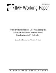 What Do Remittances Do? Analyzing the Private Remittance Transmission Mechanism in El Salvador
