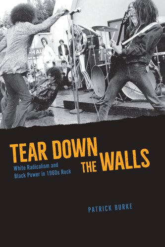 Tear Down the Walls: White Radicalism and Black Power in 1960s Rock