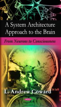 System Architecture Approach to the Brain: From Neurons to Consciousness