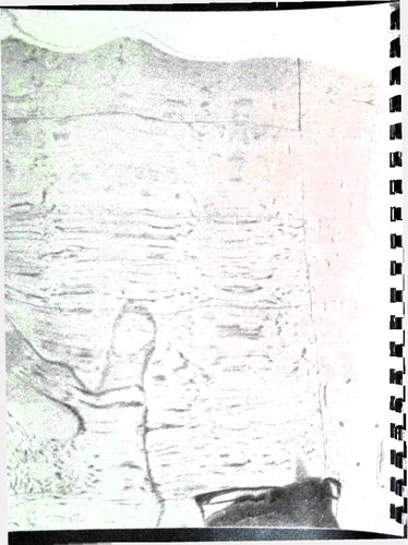 The David Foster Wallace Reader: Uncollected Works /'Samizdat Collection'