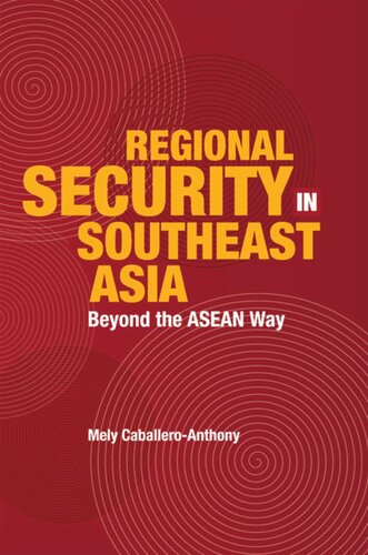 Regional Security in Southeast Asia: Beyond the ASEAN Way
