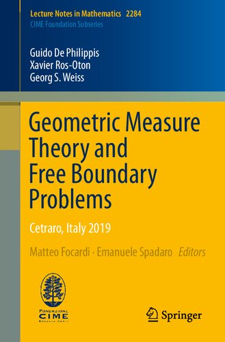 Geometric Measure Theory and Free Boundary Problems: Cetraro, Italy 2019 (Lecture Notes in Mathematics)